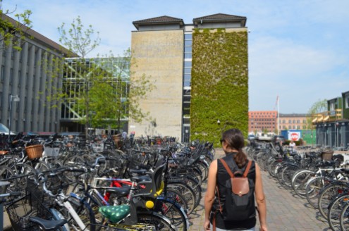 Kopenhag tam bir bisiklet cenneti